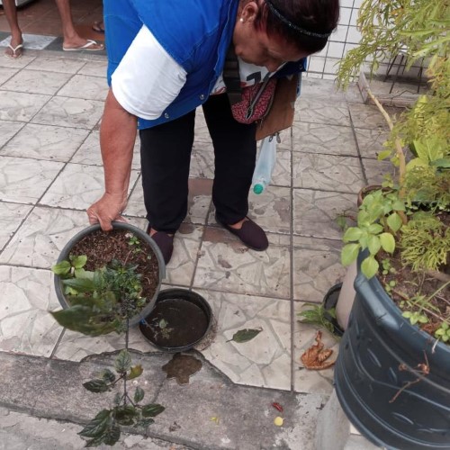 Vigilância Ambiental de Volta Redonda inicia trabalho para realização do LIRAa